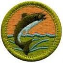 scout_badge