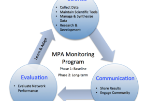 Monitoring-program-figure